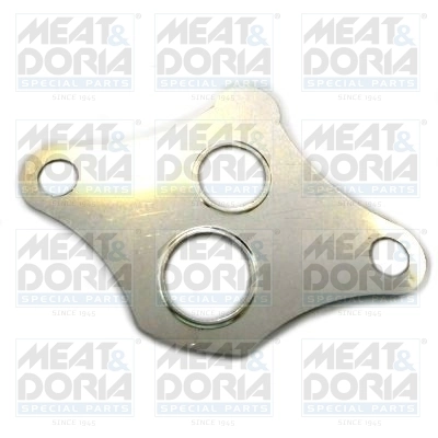 Gasket, EGR valve